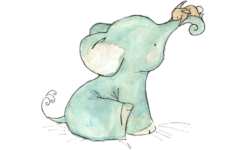 Cute elephant carries a bunny, png