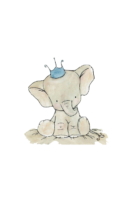 Cute elephant, png