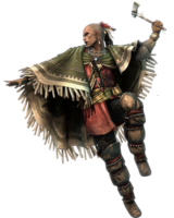 Assassin creed Indian