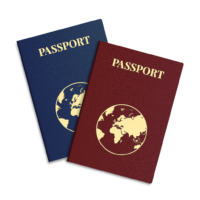 Passport, vector