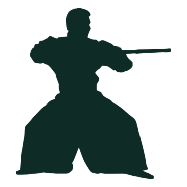 Aikido, sports
