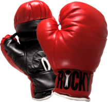 Boxing gloves