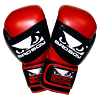 Gloves for mma