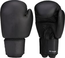 Legenda boxing gloves