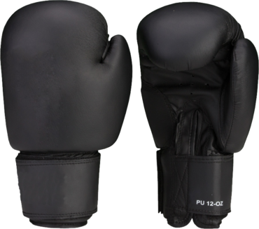 Legenda boxing gloves