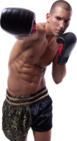 Training , boxing