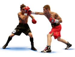 Boxer, fighter