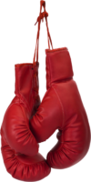 Boxing gloves