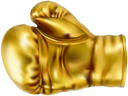 Boxing gloves gold