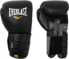 Boxing gloves, vector