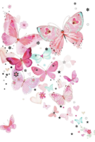 Pink butterflies