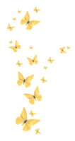 Yellow butterflies