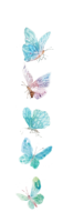 Watercolor drawing, butterflies