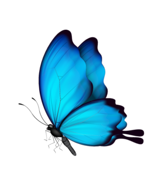 The butterfly is blue