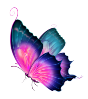 Butterfly art