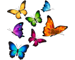 Neon butterflies