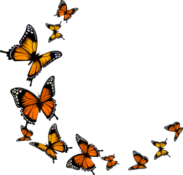 Monarch butterfly, clipart