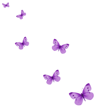 Little butterflies