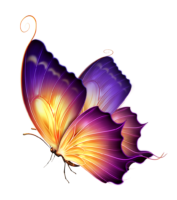 Beautiful butterfly