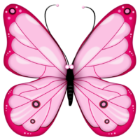 Butterfly clipart