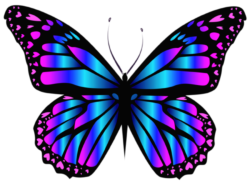 Rainbow butterfly