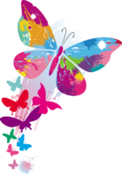 Butterflies are bright