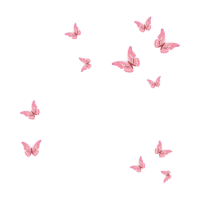 Butterflies fly across the screen
