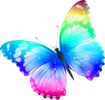 Butterfly for Photoshop