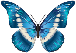 The butterfly is blue and shiny