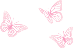 Butterfly stencil, template