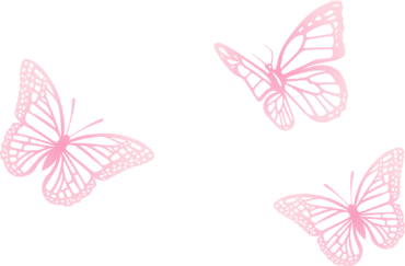 Butterfly stencil, template