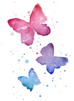 Lots of butterflies