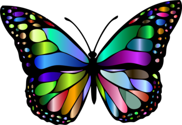 Rainbow butterfly, pattern