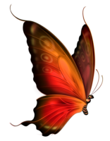 Fire Butterfly