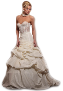 The bride’s dress, the bride