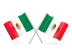 Flag of Mexico vector
