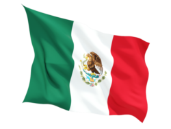 The waving flag of Mexico