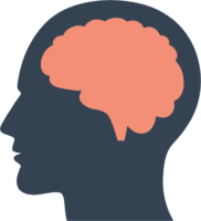 Head, brain