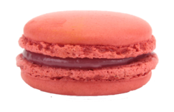 pastries, macarons cake, sweets, cheesecake, desserts, delicious, food