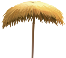 Beach umbrella