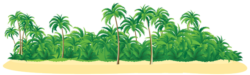 Background with palm trees