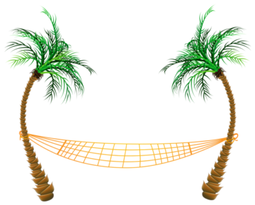 Palm trees, hammock, rest