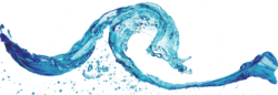 The surge of waves, the sea
