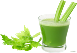 Fresh celery