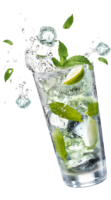 Mojito cocktail