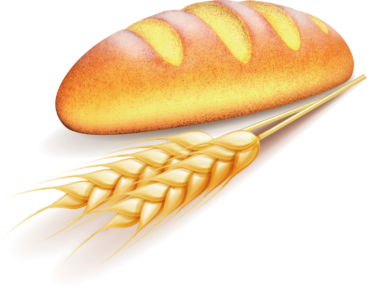 Bread illustration
