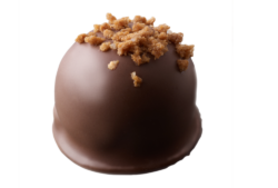 Chocolate truffle