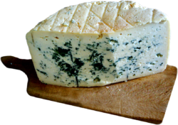Cheese with blue mold