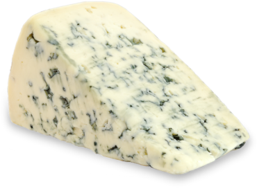 Cheese with blue mold, food