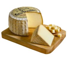 Cheese variety